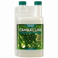 CannaCure